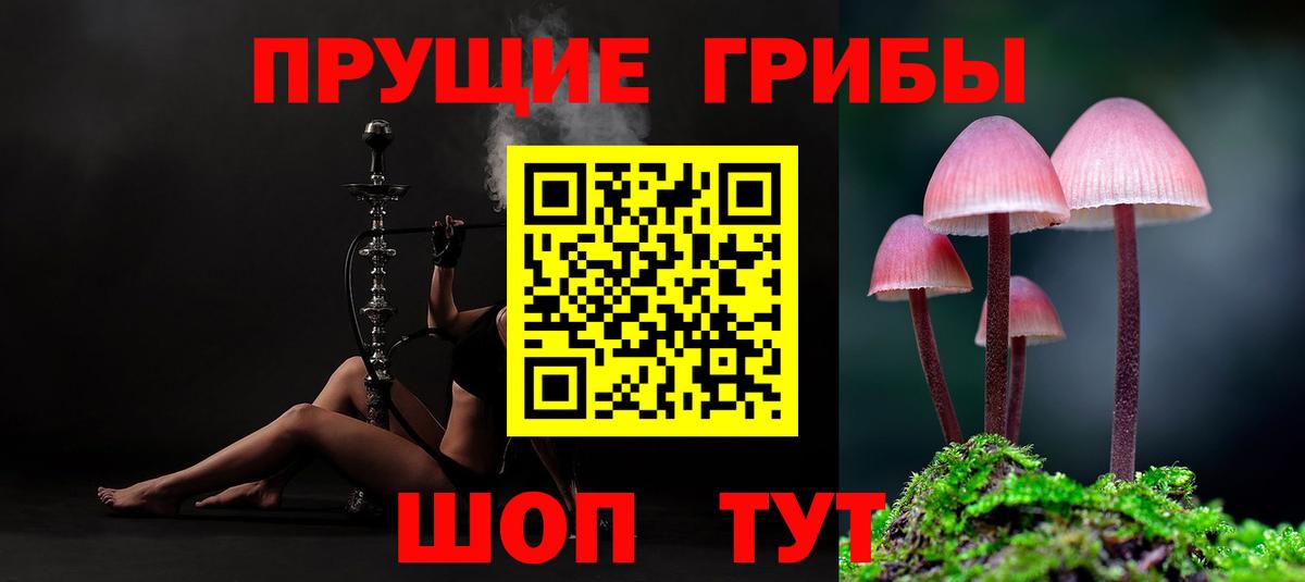 Галлюциногенные грибы ЛСД  Вход с VPN  Красногорск 